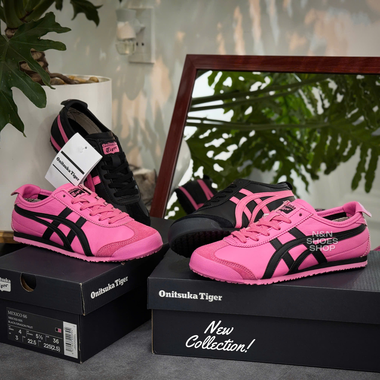 ONITSUKA MEXICO 66 DRAGON FRUIT BLACK ONITSUKA MEXICO 66 DRAGON FRUIT BLACK