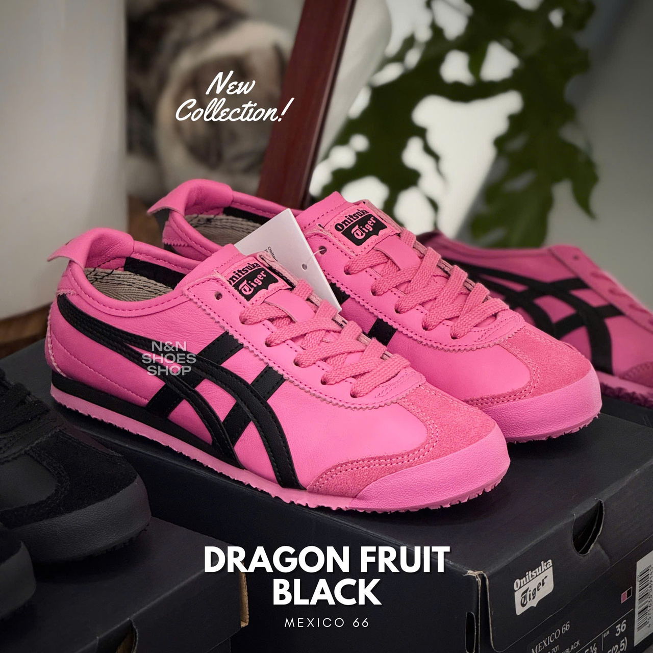 ONITSUKA MEXICO 66 DRAGON FRUIT BLACK